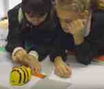 antonellabrugnoli_robotica